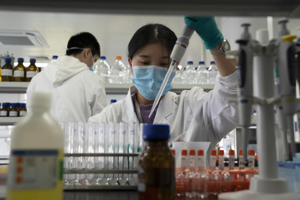 FILE - In this Sept. 24, 2020, file photo, an employee of Sinovac works in a lab at a factory producing its SARS-CoV-2 vaccine for COVID-19 named CoronaVac in Beijing. China is rapidly increasing the number of people receiving its experimental coronavirus vaccines, with a city offering one to the general public and a biotech company providing another free to students going abroad. (AP Photo/Ng Han Guan, File)