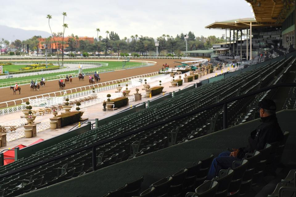 Veterinary assistant Joe Lerille sits alone in the stands prior to the second race at Santa Anita Park Saturday, March 14, 2020, in Arcadia, Calif. While most of the sports world is idled by the coronavirus pandemic, horse racing runs on. (AP Photo/Mark J. Terrill)