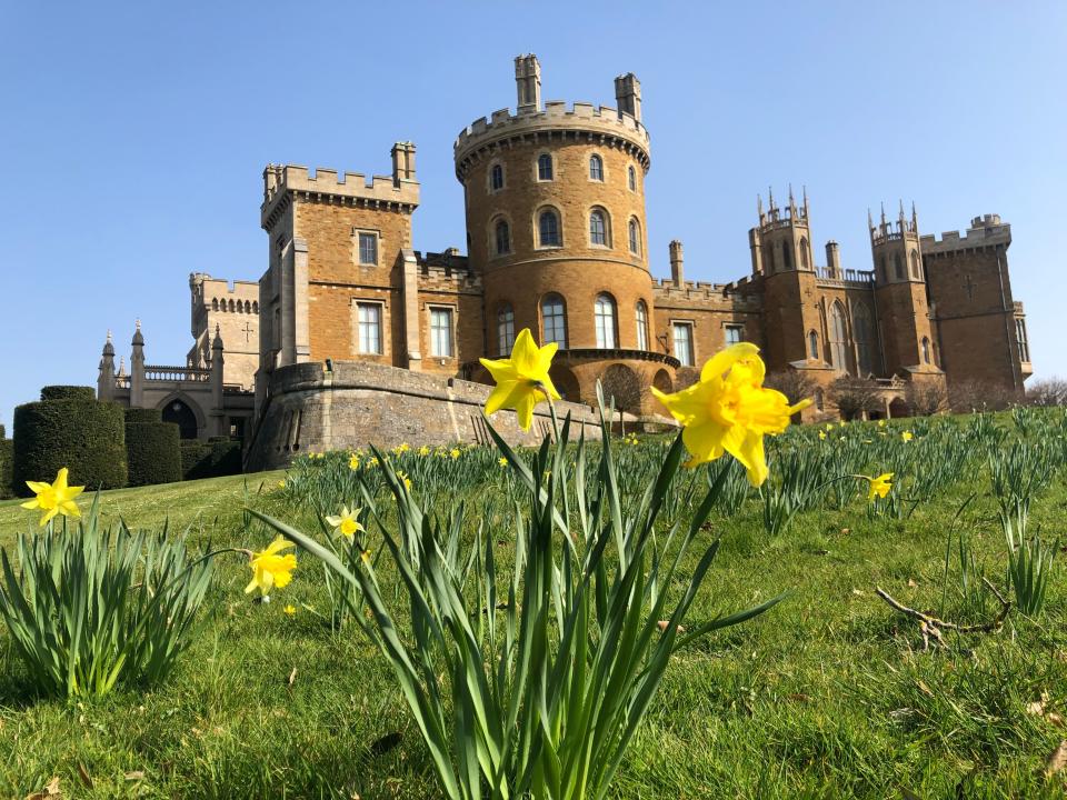 A castle with green grass and yellow daffodils in the foreground.