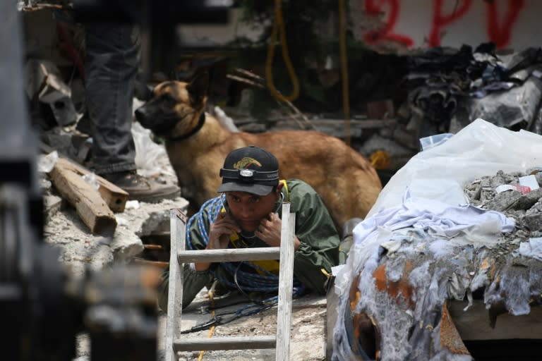 A sniffer dog stands behind a rescue worker taking part in the search for quake survivors in Mexico City