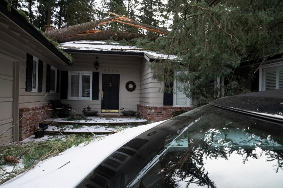 A tree rests on a home in Lake Oswego, Oregon after falling during a storm on 16 January 2024 (AP)