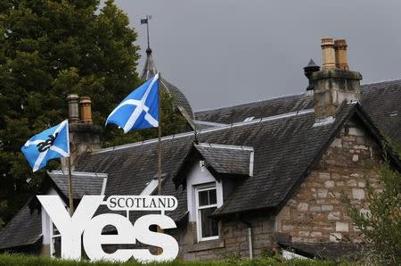 Scottish flags fly above a sign in support of the Yes campaign outside a house in Pitlochry , Scotland, September 16, 2014. REUTERS/Russell Cheyne