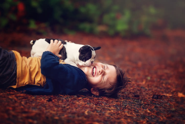 Las mascotas traerían más felicidad a tu hijo que un hermanito. – Foto: sarahwolfephotography / Getty Images