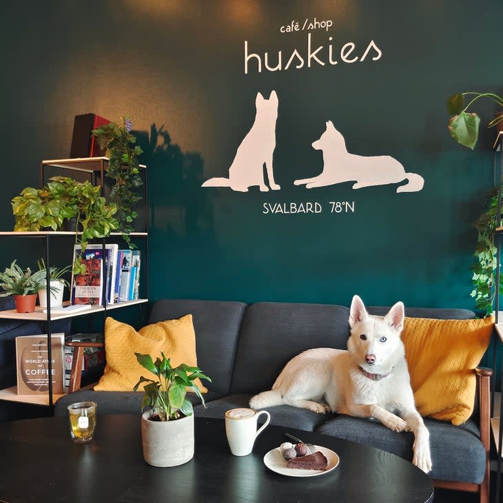 (Photo: Cafe Huskies)