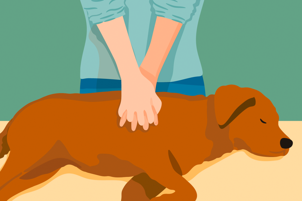 illustration of a person giving CPR to a dog