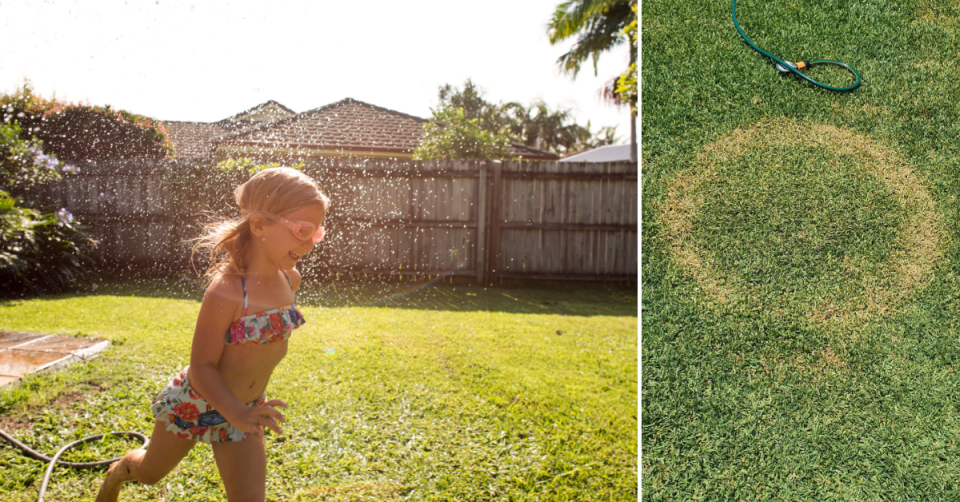 Left: Girl playing in sprinkler. Right: Circle of dead grass on lawn