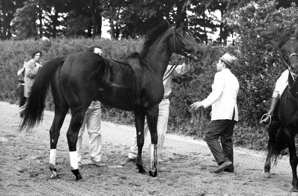 FILE - Ruffian is held by handlers on the backstretch after she broke down during the match race with Foolish Pleasure at Belmont Park in Elmont, N.Y., July 6, 1975. Ruffian was ahead by a half-length when she changed leads and both jockeys heard a cracking sound. Both of the sesamoid bones in her right front leg had snapped. (AP Photo/Ray Stubblebine, File)