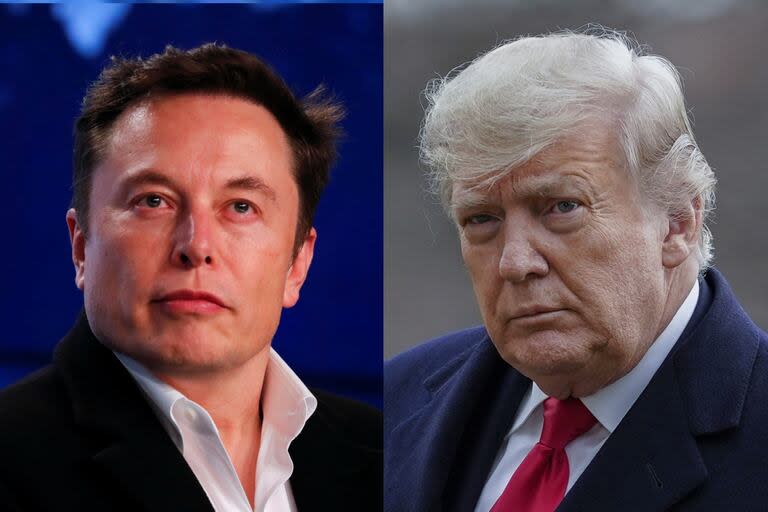 Elon Musk dijo que aportará a la campaña de Trump