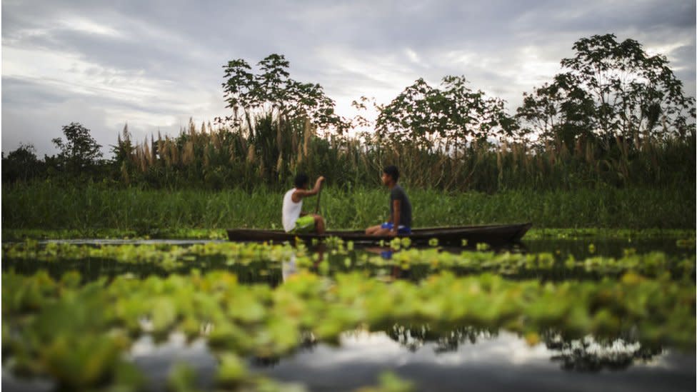 Amazonía colombiana