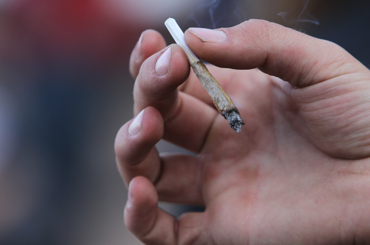 Marijuana use has been linked to high academic achievement (Picture: REX Garner)