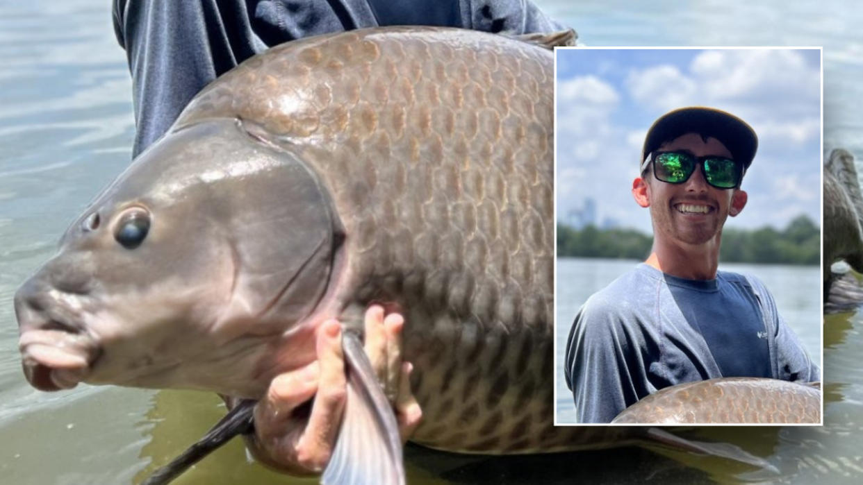 Split image of Austin, fish