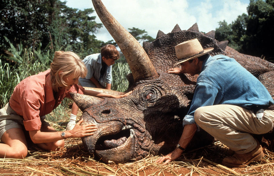 Laura Dern and Sam Neill come to the aid of a triceratops in a scene from the film 'Jurassic Park', 1993. (Photo by Universal/Getty Images)