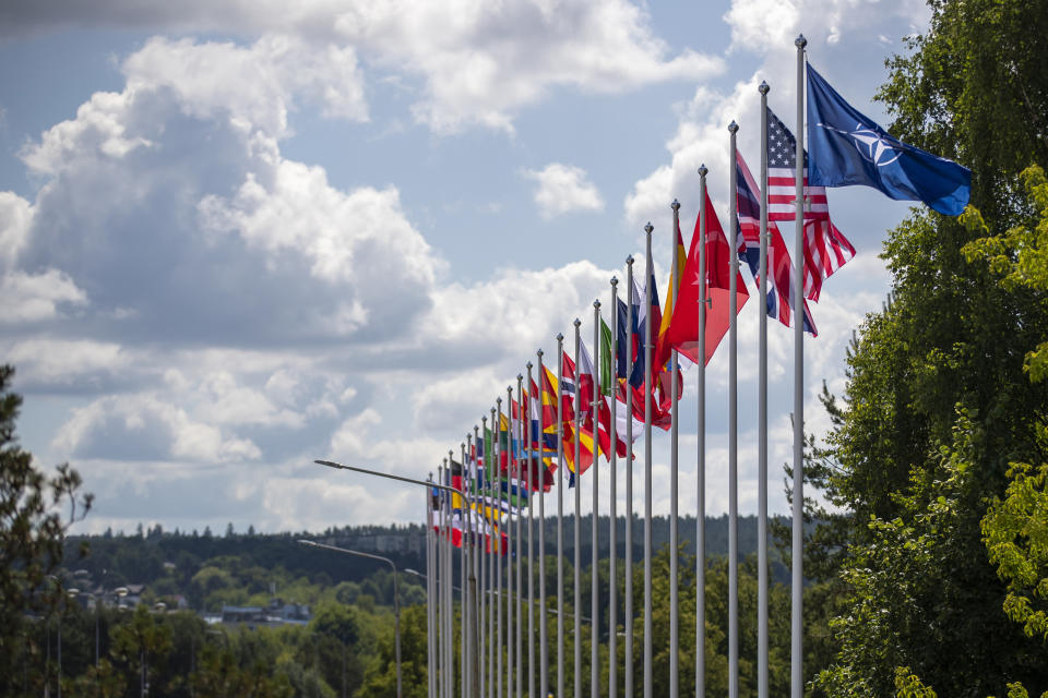 Flags of NATO member countries flap in the wind outside the venue of the NATO summit in Vilnius, Lithuania, Sunday, July 9, 2023. Russia's war on Ukraine will top the agenda when U.S. President Joe Biden and his NATO counterparts meet in the Lithuanian capital Vilnius on Tuesday and Wednesday. (AP Photo/Mindaugas Kulbis)