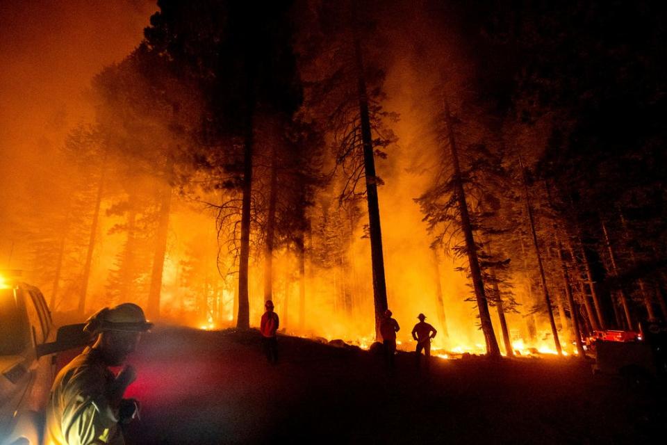 Firefighters monitor a firing operation, where crews set ground fire to stop a wildfire from spreading, while battling the Dixie Fire in Lassen National Forest, Calif., on Monday, July 26, 2021.