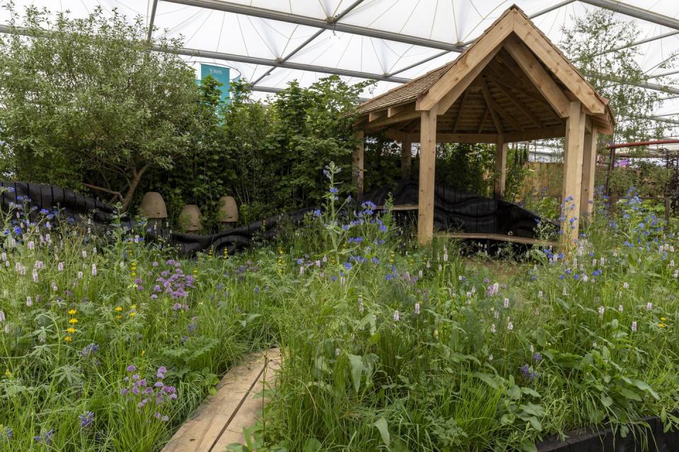 rhs chelsea flower show 2024 all about plants garden designs