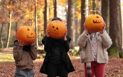 Two girls and a boy are playing in the woods, covering their faces with carved halloween pumpkins - Credit: Susan K/Getty Images