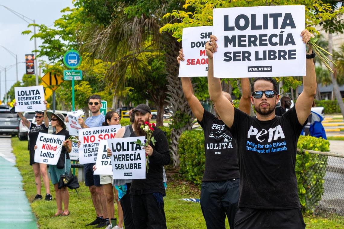 Anti-animal cruelty activists wave signs expressing disapproval for animal captivity during a vigil hosted by PETA for Lolita the killer whale, also known as Toki, outside Miami Seaquarium in Key Biscayne, Florida, on Saturday, August 19, 2023. Toki died from suspected renal failure on Friday after decades of captivity since the age of four.