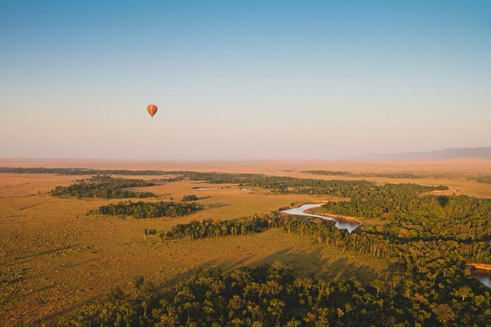 View over a section of the Masai Mara (Getty Images/iStockphoto)