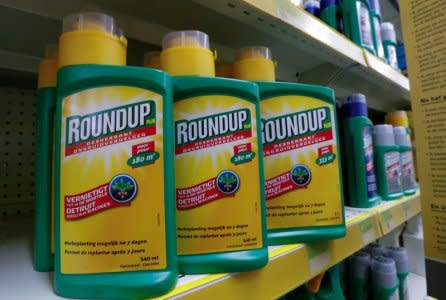 FILE PHOTO: Monsanto's Roundup weedkiller atomizers are displayed for sale at a garden shop near Brussels, Belgium, November 27, 2017.  REUTERS/Yves Herman/File Photo