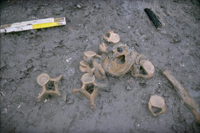 Photo from the excavation site Huseby Klev at the Swedish west coast.  / Credit: Bengt Nordquist