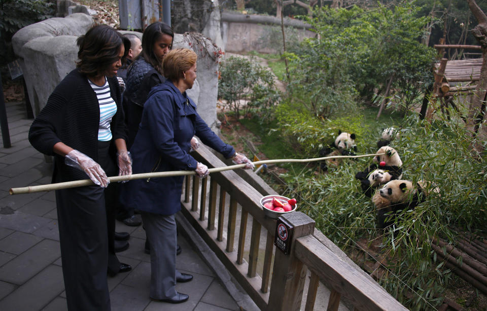 U.S. first lady Michelle Obama, left, and her mother Marian Robinson, right, feed apple to giant pandas during their visit at Giant Panda Research Base in Chengdu, Sichuan province, China Wednesday, March 26, 2014. (AP Photo/Petar Kujundzic, Pool)