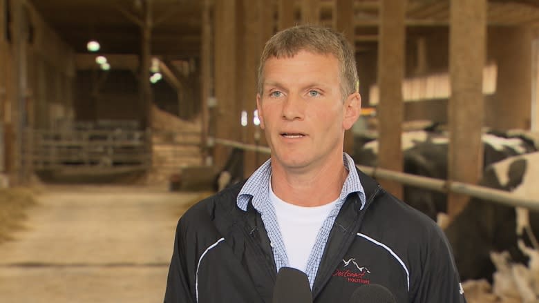 Chilliwack Cattle Sales, owned by Jeff Kooyman and his six brothers, is under investigation by the B.C. SPCA.