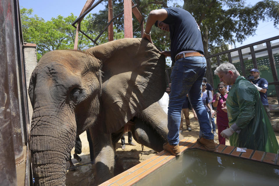 Veterinarians from the global animal welfare group, Four Paws, conduct a medical check-up of an elephant named "Noor Jehan" at Karachi Zoo, in Karachi, Pakistan, Wednesday, April 5, 2023. Foreign veterinarians visited the sickly elephant at the southern Pakistani zoo amid widespread concern over her well-being and living conditions. (AP Photo/Fareed Khan)