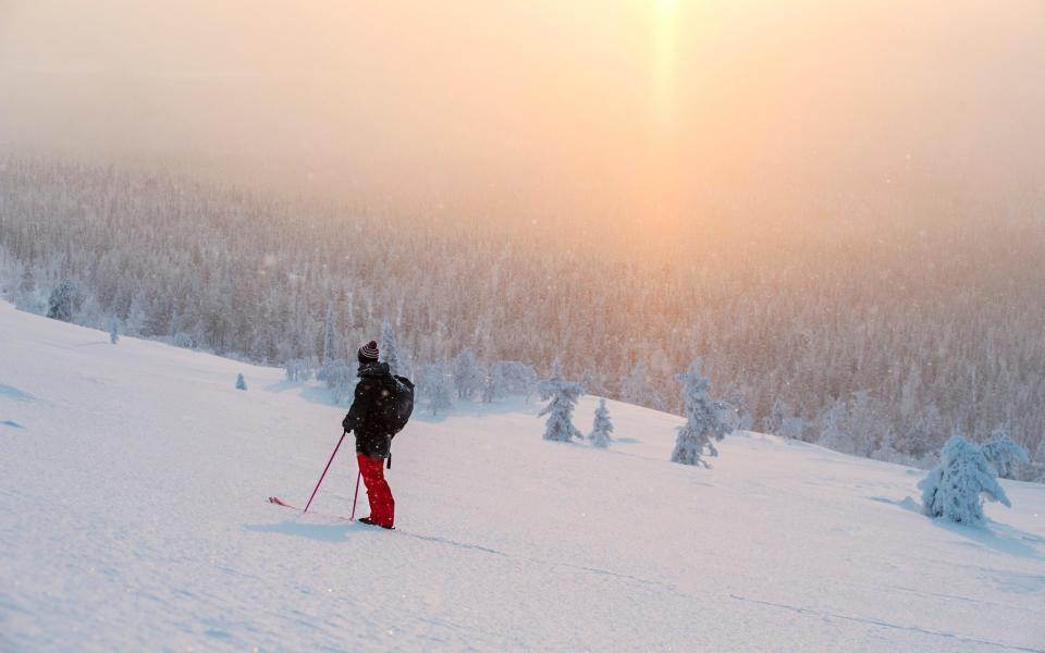 A man walking in Lapland