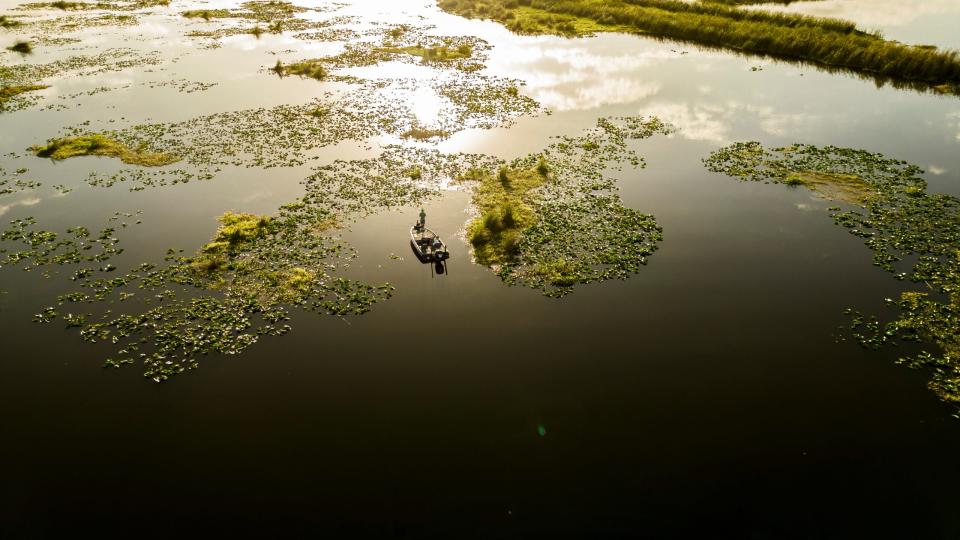 Photo of bass anglers fishing in Florida