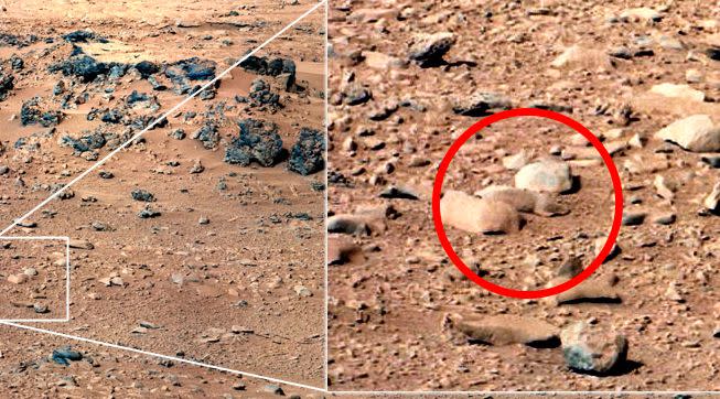 OK, this really does look like some sort of rodent. NASA's Mars rover Curiosity <a href="http://news.discovery.com/space/alien-life-exoplanets/mars-is-infested-with-pareidolia-rats-130529.htm" target="_blank">shot a photo of this little guy</a> earlier this year. But after a closer look, and a little common sense, it's probably a rock.