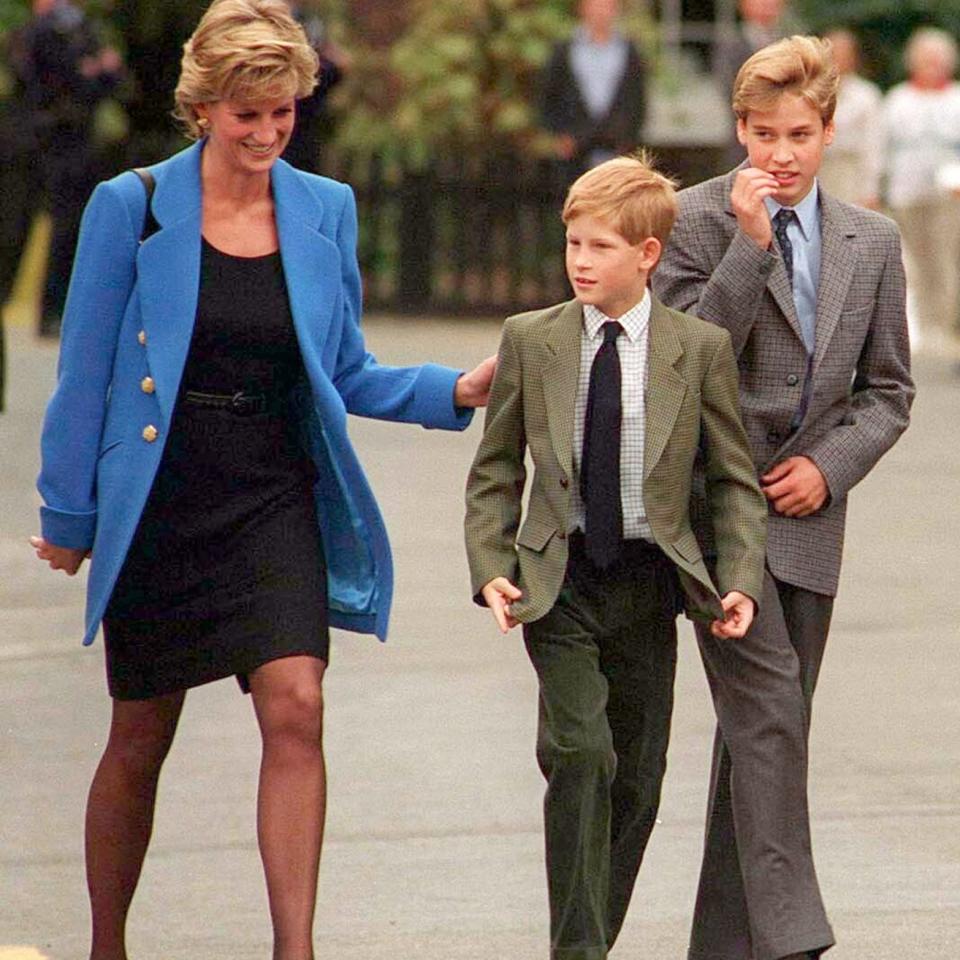 Princess Diana, Prince William, Prince Harry