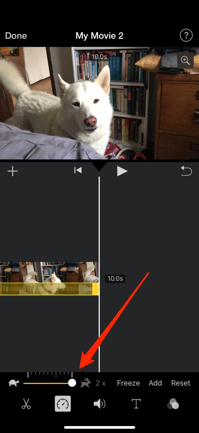 How to speed up a video on an iPhone with iMovie or the Photos app to make  any video faster