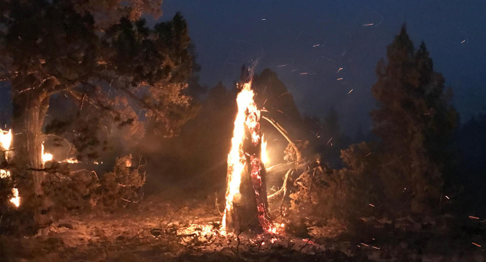 US Fire Authorities battle dangerous conditions across the nation's northwest. Source: AP