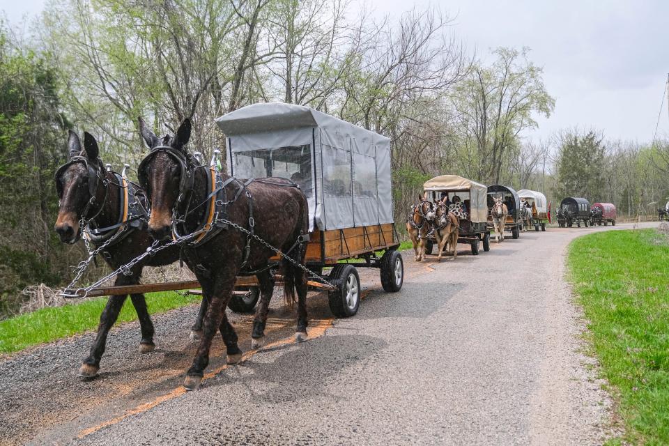 The Wagon Train started out on Monday and made a 50 mile journey to Maury County Park, home of Mule Day, in Maury County on April 3.