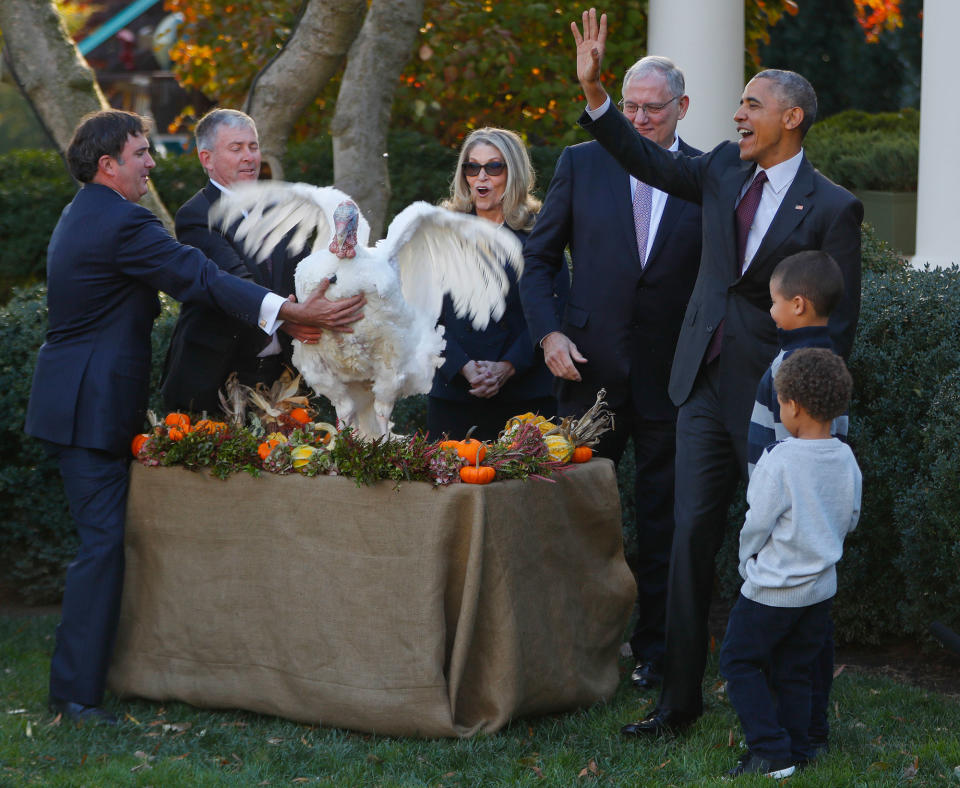 Obama pardons ‘Tot’, the National Thanksgiving turkey