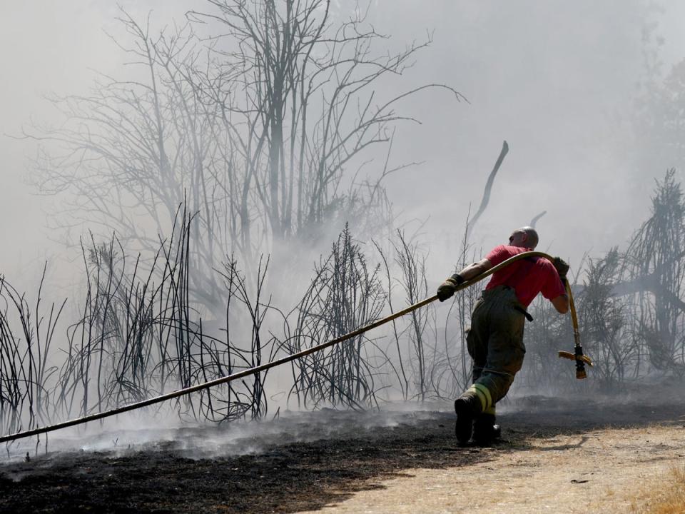 A grass fire on Leyton Flats, east London on August 12, 2022, as England experienced its driest summer in 50 years (PA)