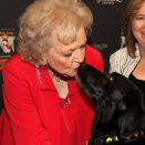<p> Betty White attends The American Humane Association&apos;s Hero Dog Award Inaugural Event. </p>