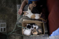 <p>Eine Obdachlose schläft eng an ihren Katzen liegend. Die Tiere sind mit ein paar Bändern um den Hals neben ihr an einen Mast gebunden, um zu verhindern, dass die Kätzchen auf die Straßen von Manila laufen. (Bild: AFP) </p>