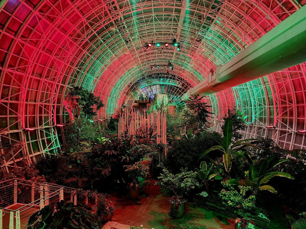 The Myriad Gardens' Crystal Bridge Conservatory is decorated for the holiday season with hundreds of lights and poinsettias, including the downtown OKC landmark's signature poinsettia tree.