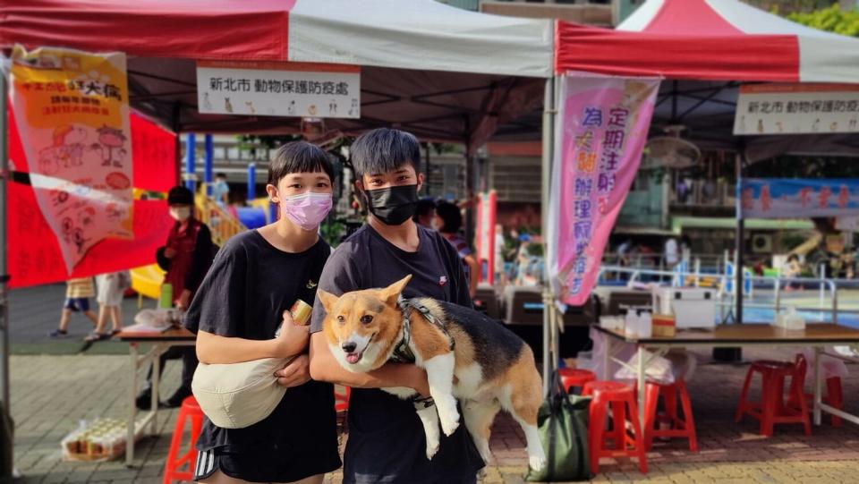 111年泰山區巡迴注射。   圖：新北市動保處提供