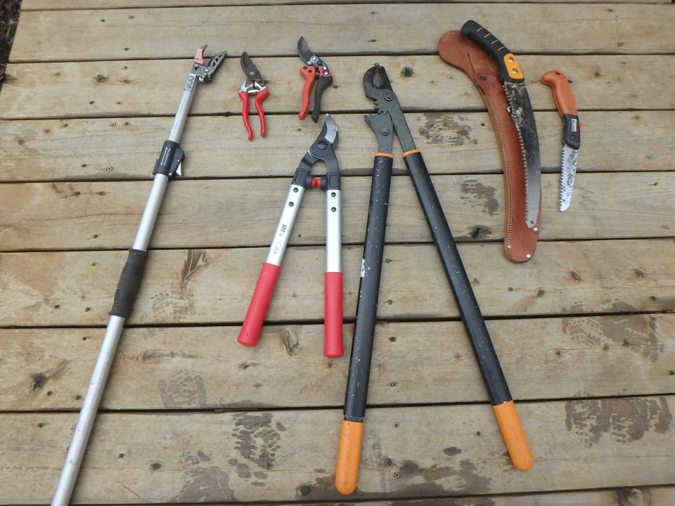 These are the tools Henry uses for pruning.