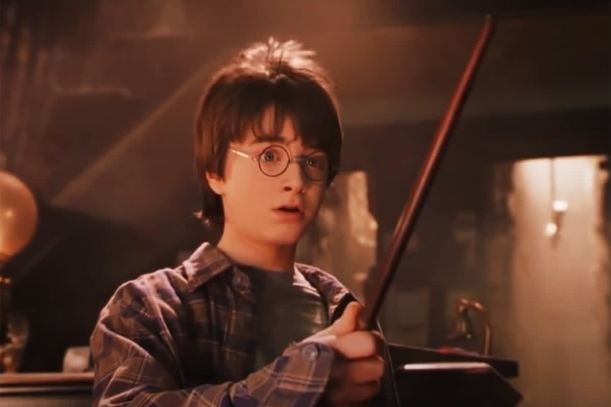 Daniel Radcliffe as Harry Potter with wand in hand  (Warner Bros Pictures)