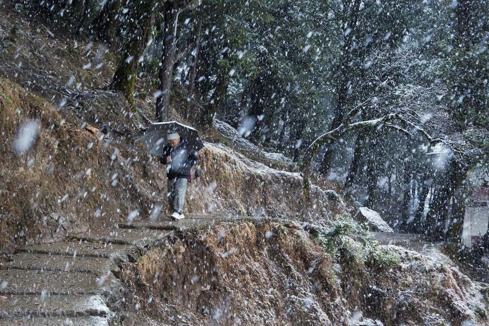 Dharmsala snow fall