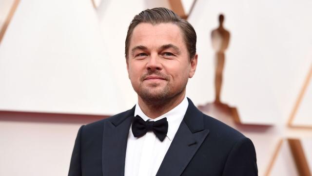 Leonardo DiCaprio's Net Worth—A Look Into the Actor's Green Business Empire