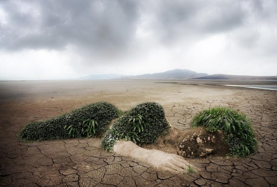 聯合國環境規劃署10日發布評估報告指出，全世界錯失「一代才有一次」的機會，以重建永續的後疫情未來。(圖：Pixabay)