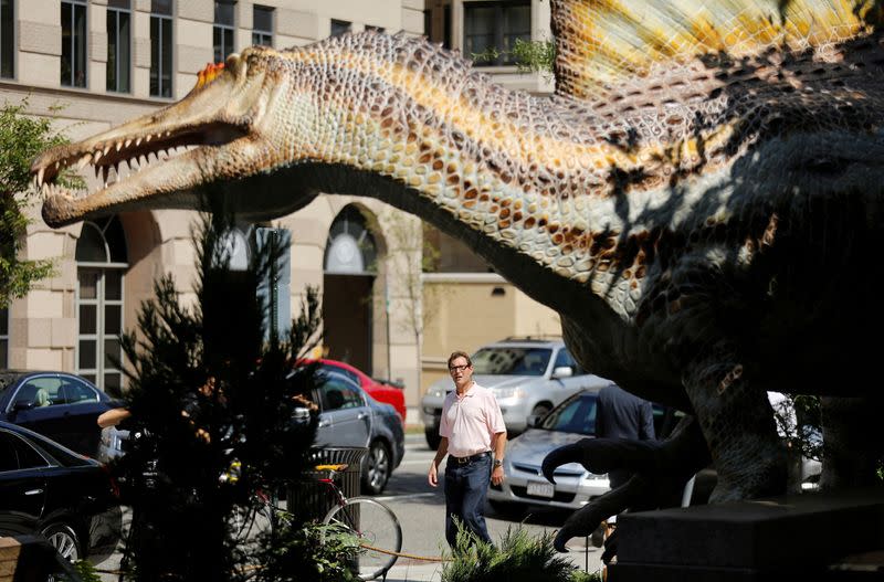 FILE PHOTO: A pedestrian walks past a life-size model of Spinosaurus outside the National Geographic Society building in Washington