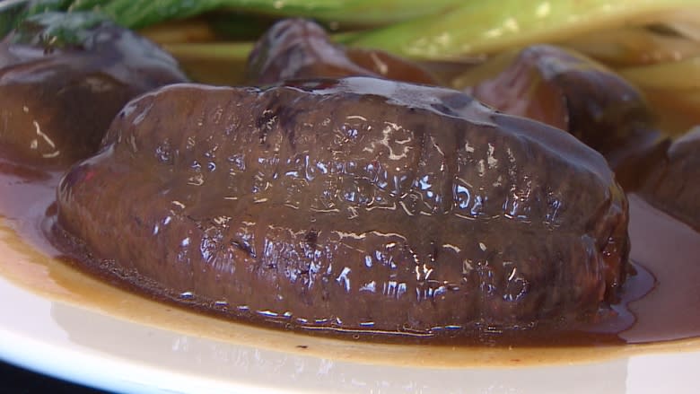 Sea cucumber facility in Hackett's Cove hoping to entice Chinese market