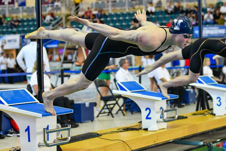 Henig dives into the pool.