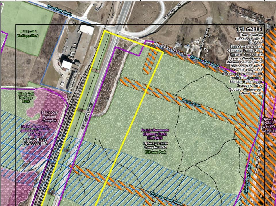 A map showing Black Oak Heritage Park (to the west) and Ojibway Park (to the east) separated by Ojibway Parkway and the Essex Terminal Railway train tracks, south of Broadway Boulevard.