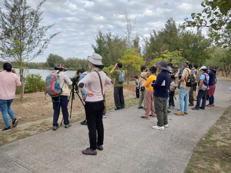 賞鳥時節到　布袋鹽田濕地全台水鳥棲息數最多